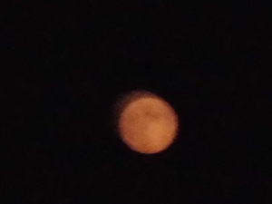 月齢13.4　月出18:45　月没03:55　2020/08/03　20:13撮影　雲のせいか異様に赤い月